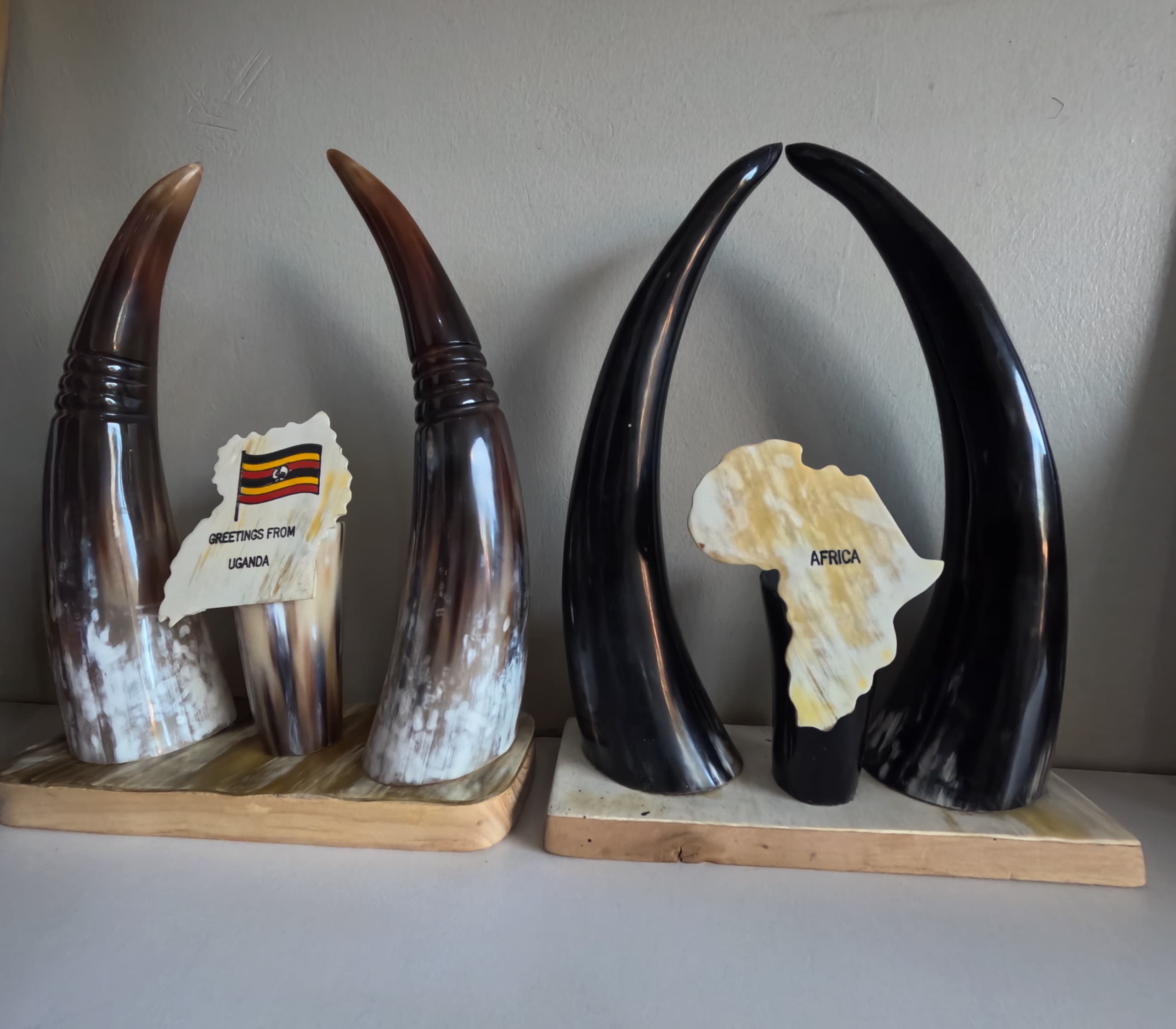 cow horn Deco