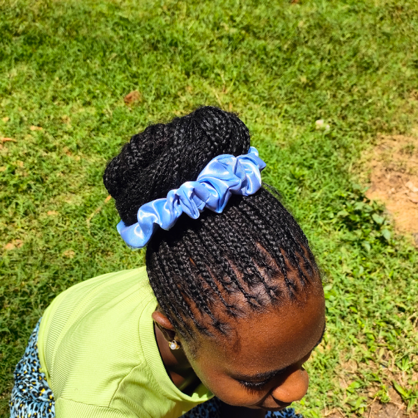 Hair ties/ scrunchies
