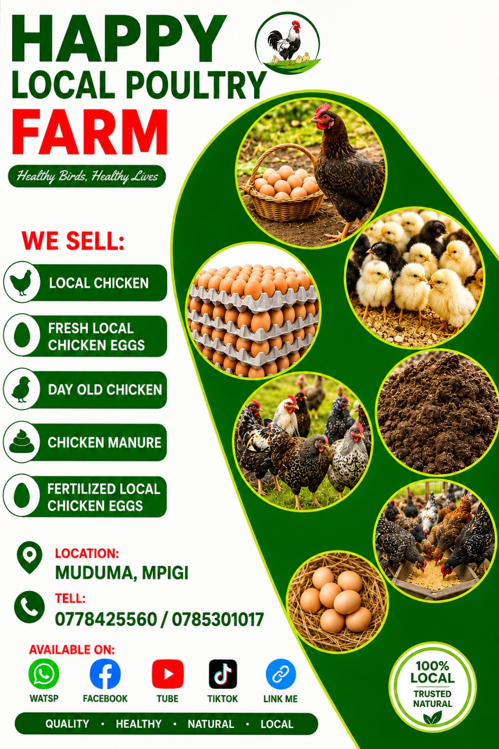 All local poultry chicken products