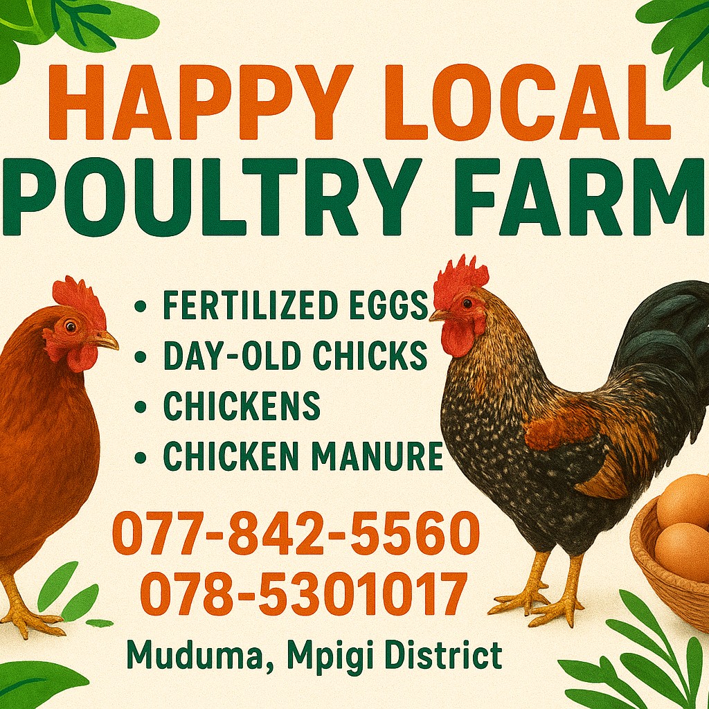 HAPPY LOCAL POULTRY FRAM