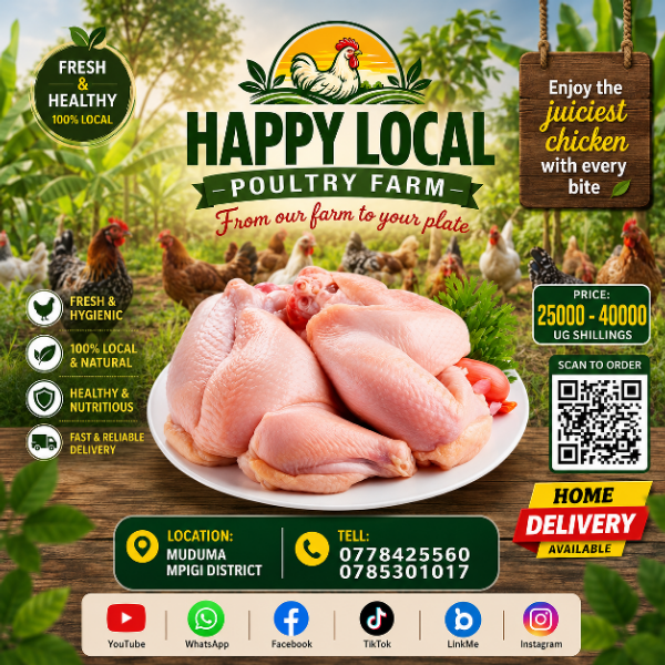 local poultry chicken